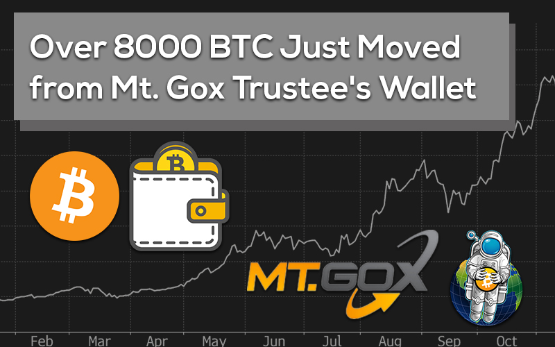 Over 8000 BTC Just Moved from Mt. Gox Trustee’s Wallet