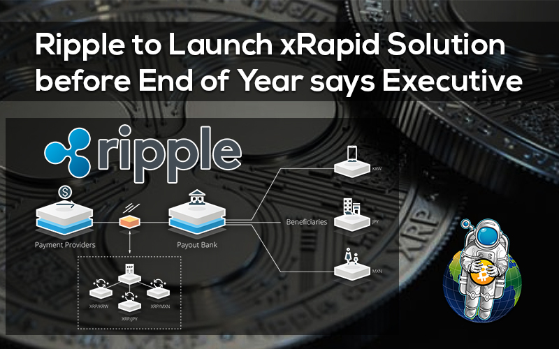 Ripple to Launch xRapid Solution before End of Year says Executive