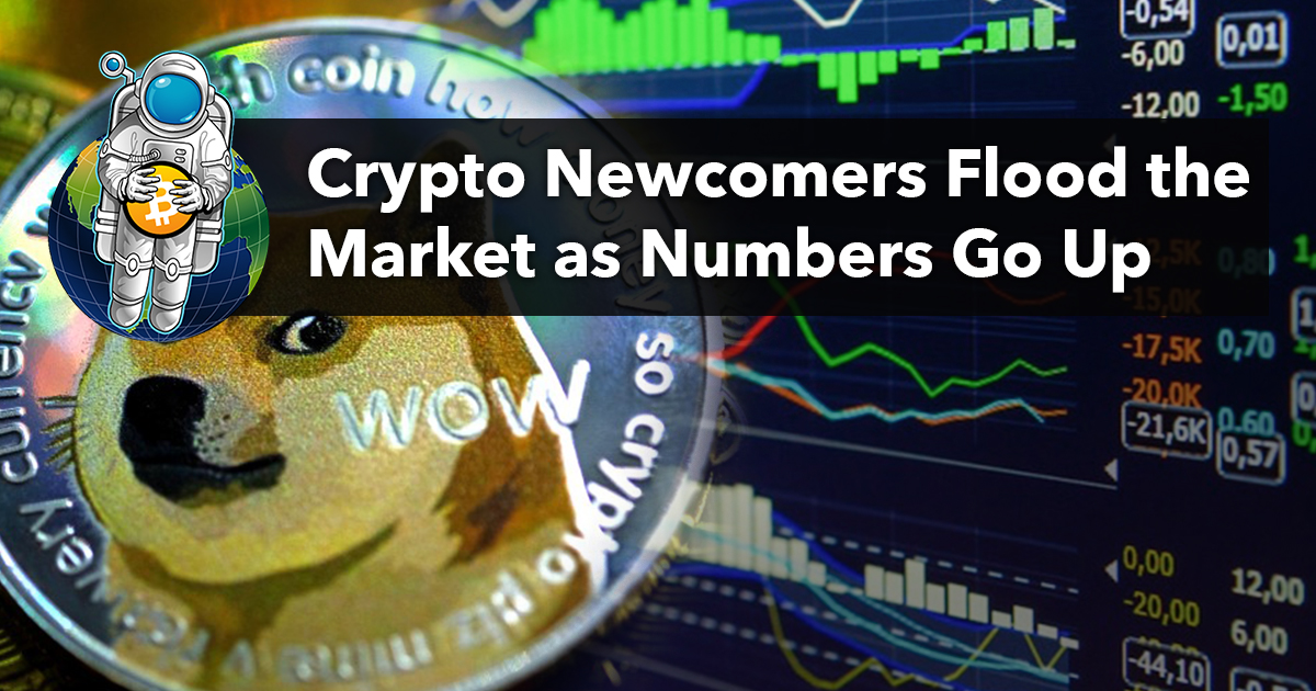 best crypto newcomers